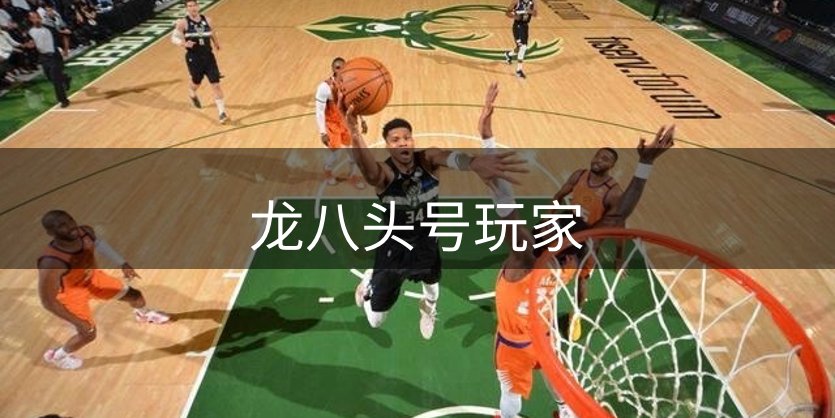 网站介绍